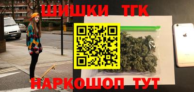 тгк Партизанск