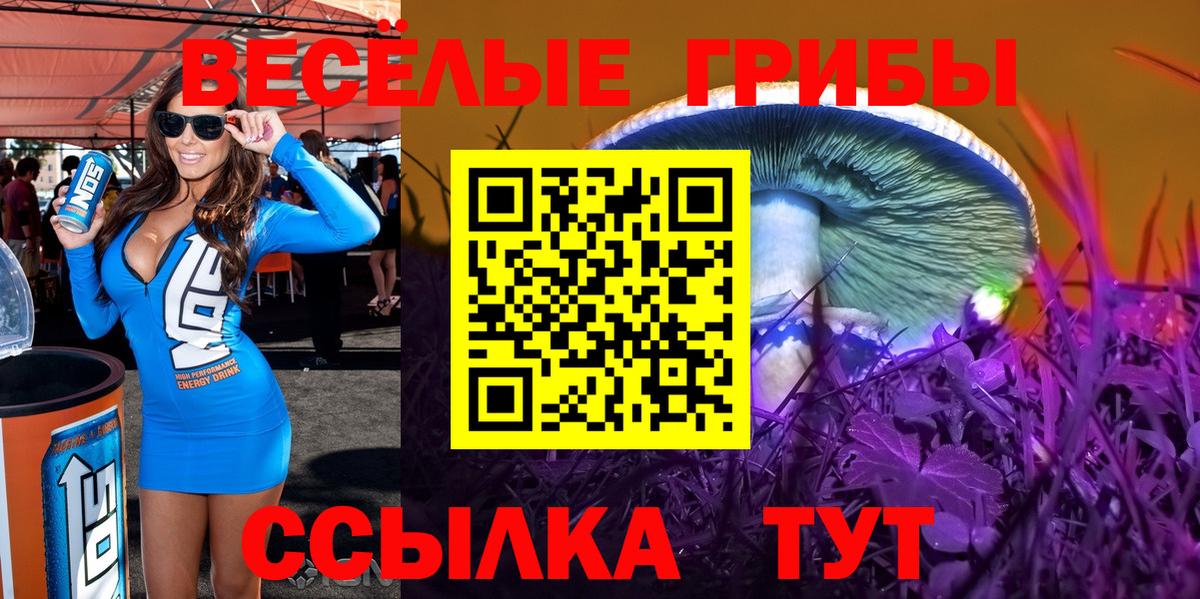 Галлюциногенные грибы Psilocybe Новошахтинск