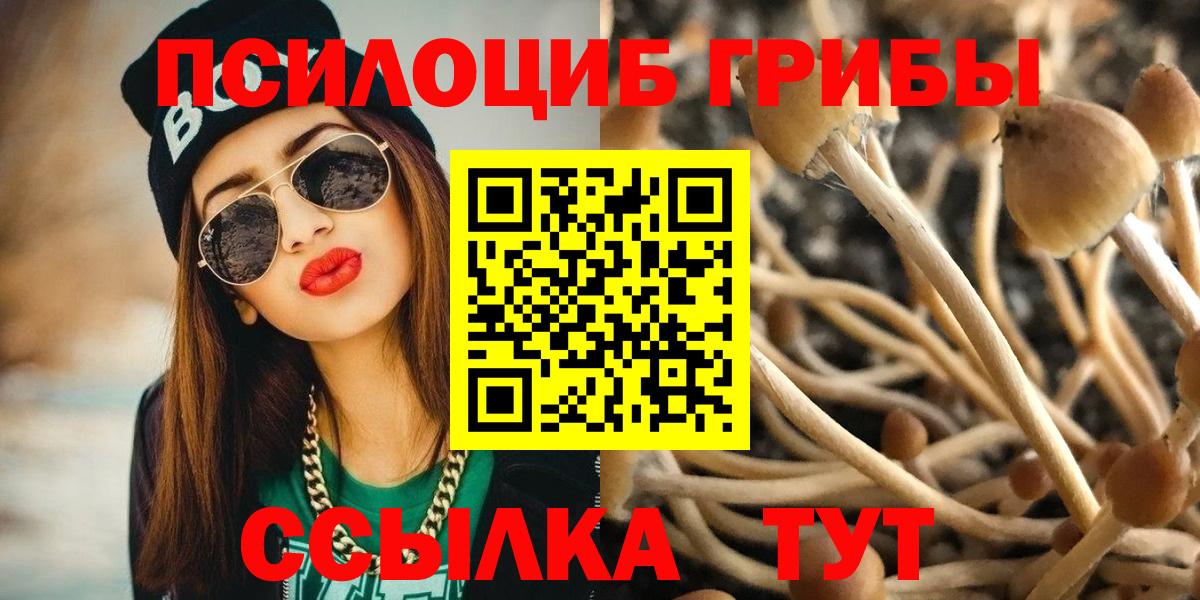 Новошахтинск  Псилоцибиновые грибы мицелий  даркнет сайт  Вход с VPN  Псилоцибиновые грибы Cubensis 